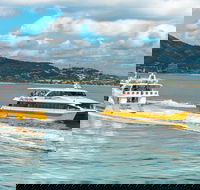 Apex Camps Magnetic Island Group Accommodation Activities and Events - Accommodation Mooloolaba