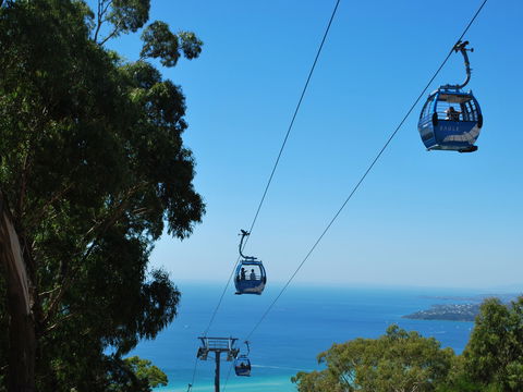 Arthurs Seat Eagle - Accommodation Mooloolaba 0