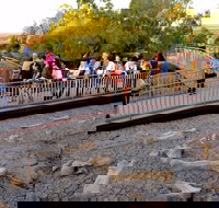 Australian Age of Dinosaurs - Accommodation Mooloolaba