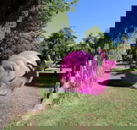 Belmore Park - Accommodation Mooloolaba