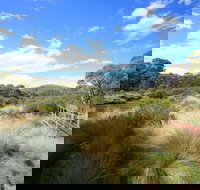 Bullocks walking track - Accommodation Mooloolaba