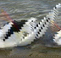 Chinaman Wells - Accommodation Mooloolaba