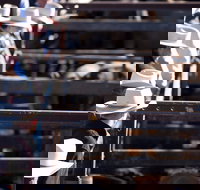 Dalby - Accommodation Mooloolaba