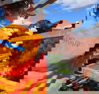 Farm Visit  Dungog - Accommodation Mooloolaba