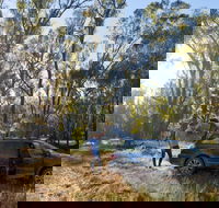 Forest Drive Murrumbidgee Valley National Park - Accommodation Mooloolaba