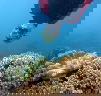 Geoffrey Bay Snorkel Trail - Accommodation Mooloolaba