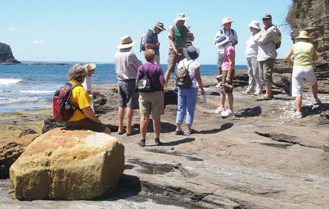 Gondwana Coast Fossil Walk - Accommodation Mooloolaba 0