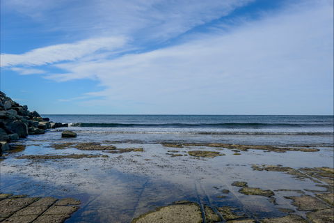 Gondwana Coast Fossil Walk - Accommodation Mooloolaba 1