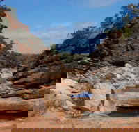 Homestead Gorge trail - Accommodation Mooloolaba