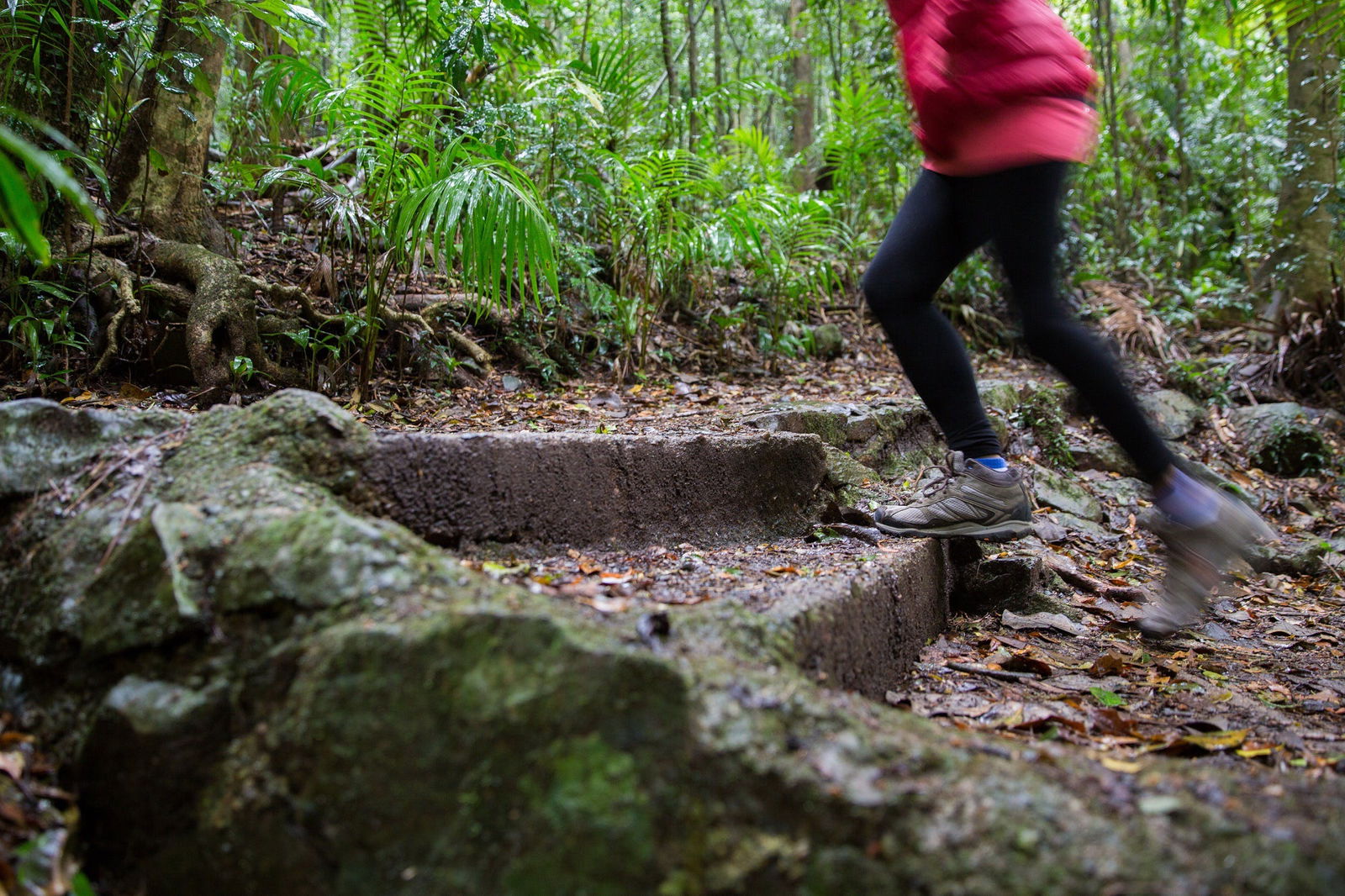 Mount Glorious QLD Accommodation Mooloolaba