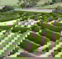 Mintaro Maze - Accommodation Mooloolaba