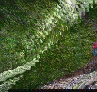 Morisset - Accommodation Mooloolaba