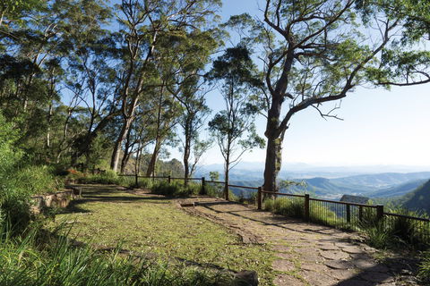 Morans Falls Track, Lamington National Park - Accommodation Mooloolaba 1