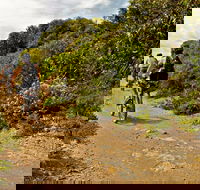 Mountain Biking Trails - Accommodation Mooloolaba