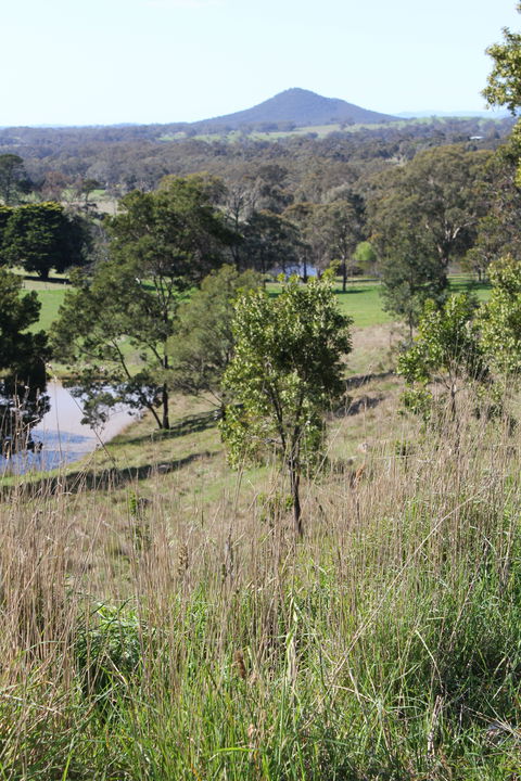 Mt Piper Nature Conservation Reserve - Accommodation Mooloolaba 1