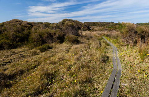 Murramarang Aboriginal Area Walking Track - Accommodation Mooloolaba 0