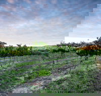 Nature and Foodies Trail - Accommodation Mooloolaba
