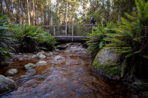O'Neills Creek Picnic Reserve - Accommodation Mooloolaba 0