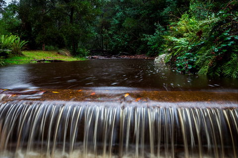 O'Neills Creek Picnic Reserve - Accommodation Mooloolaba 1