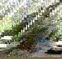Orara Escarpment 4WD Touring Route - Accommodation Mooloolaba