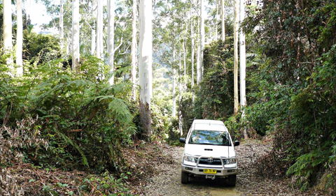 Orara Escarpment 4WD Touring Route - Accommodation Mooloolaba 0