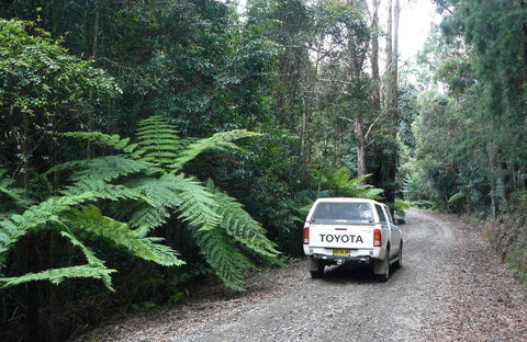 Orara Escarpment 4WD Touring Route - Accommodation Mooloolaba 1
