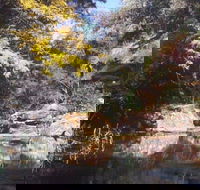 Pheasants Nest - Accommodation Mooloolaba