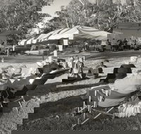 Pioneer Park - Accommodation Mooloolaba