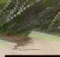 Riverview walking track - Accommodation Mooloolaba