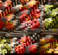 Severnlea - Accommodation Mooloolaba