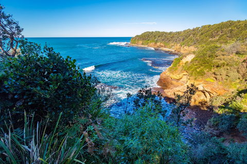 Shellgrit Beach (Red Head) - Accommodation Mooloolaba 0