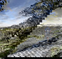 Snow Gums boardwalk - Accommodation Mooloolaba