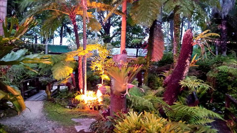 The Fernery At Diamond Waters - Accommodation Mooloolaba 0