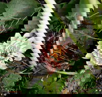 The Beach Bible Garden - Accommodation Mooloolaba