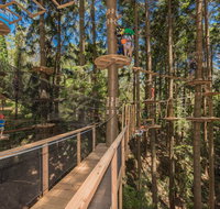 TreeTops Sydney The Hills - Accommodation Mooloolaba