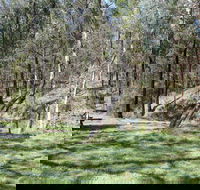 Wallaby Walking Track - Accommodation Mooloolaba