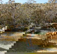 Wild Valley Art Park - Accommodation Mooloolaba