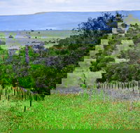 Wild Dog Barrier Fence - Accommodation Mooloolaba