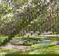 Wollomombi Gorge and Falls Picnic Area - Accommodation Mooloolaba