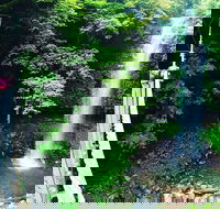 Rainforest  Waterfall Experience - Accommodation Mooloolaba