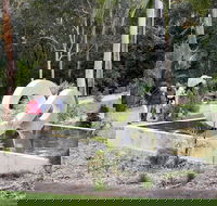 Maroochy Regional Bushland Botanic Garden - Accommodation Mooloolaba