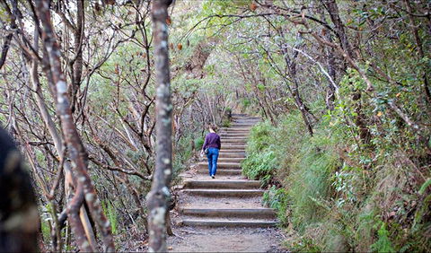 Princes Rock Walking Track - Accommodation Mooloolaba 0