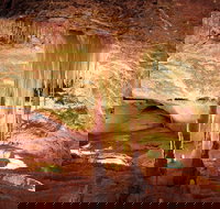 Jenolan Caves Ribbon Cave Tour - Accommodation Mooloolaba