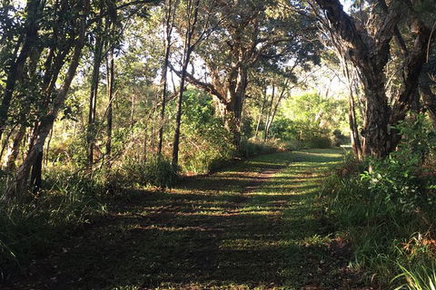 Coffs Harbour To Sawtell Bike Ride - Accommodation Mooloolaba 7