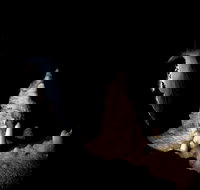 Jenolan Caves Extended Temple of Baal Cave Tour - Accommodation Mooloolaba