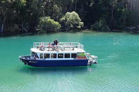 Byron Bay Rainforest Eco-Cruise - Accommodation Mooloolaba 0