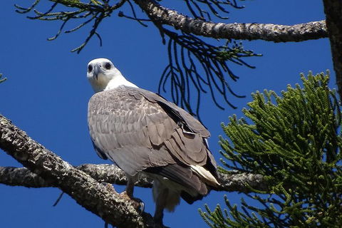 Byron Bay Rainforest Eco-Cruise - Accommodation Mooloolaba 2