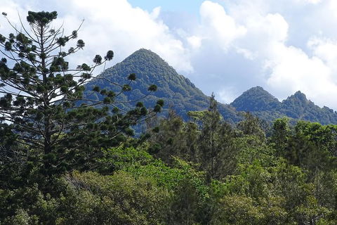 Byron Bay Rainforest Eco-Cruise - Accommodation Mooloolaba 3