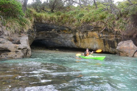 Half-Day Jervis Bay Sea Kayak Tour - Accommodation Mooloolaba 8