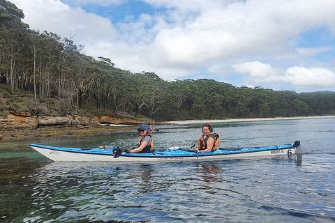 Half-Day Jervis Bay Sea Kayak Tour - Accommodation Mooloolaba 6